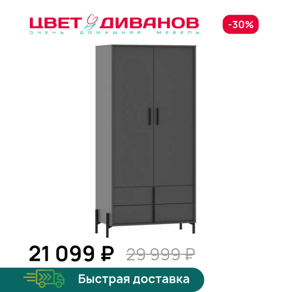 Шкаф Айден 2Д2Я